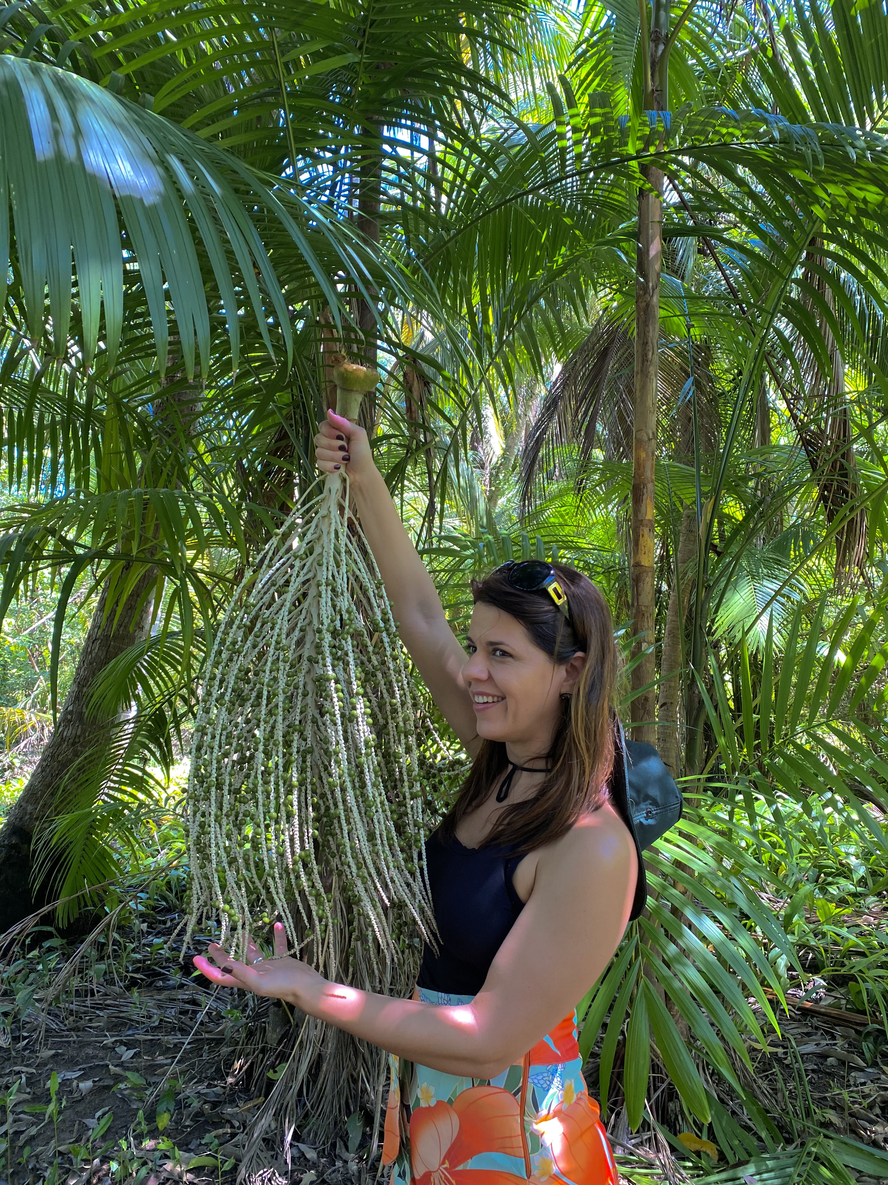 Passeio da Extração do Açaí