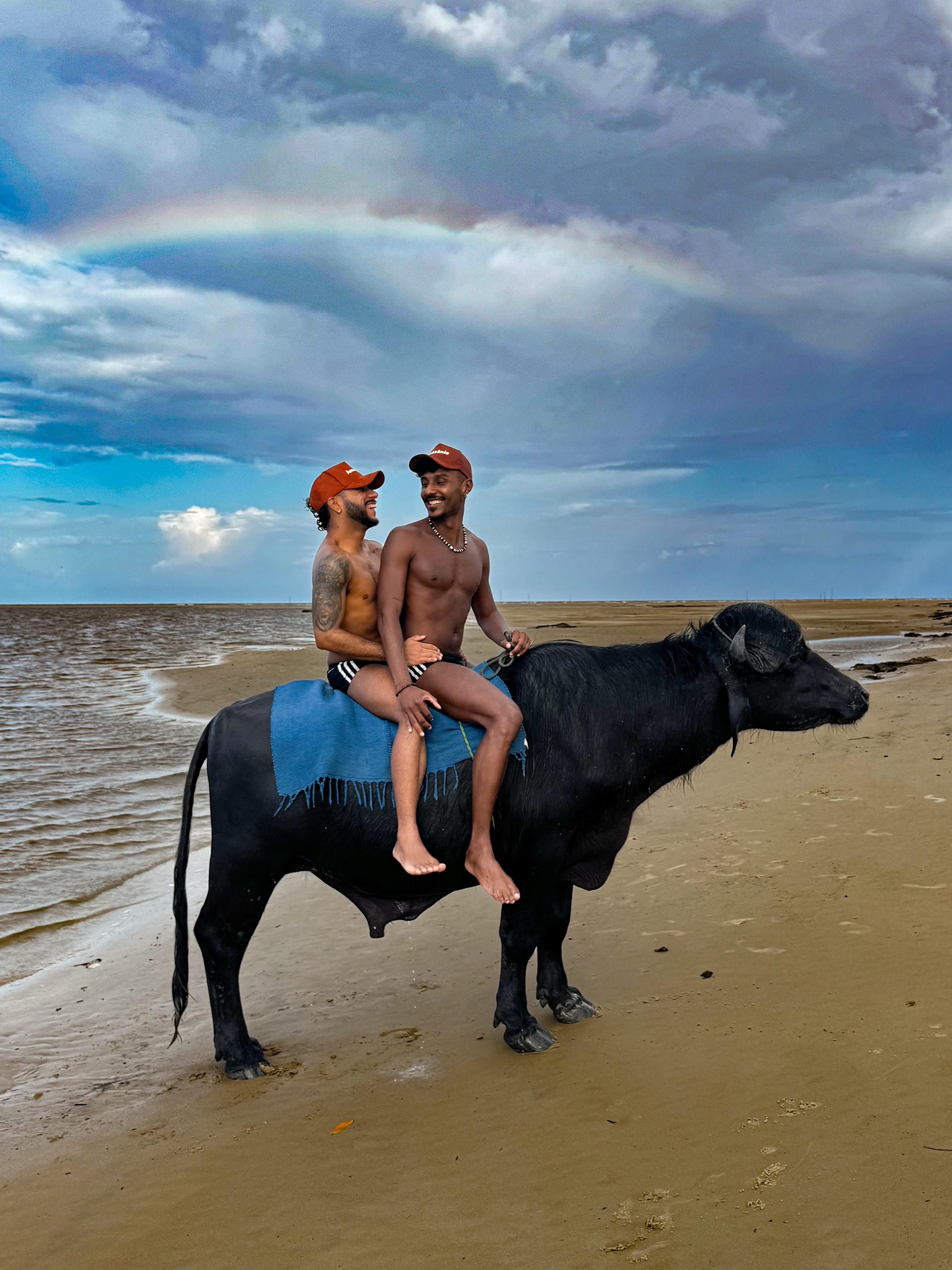 Passeio de Búfalo (Vila do Pesqueiro)