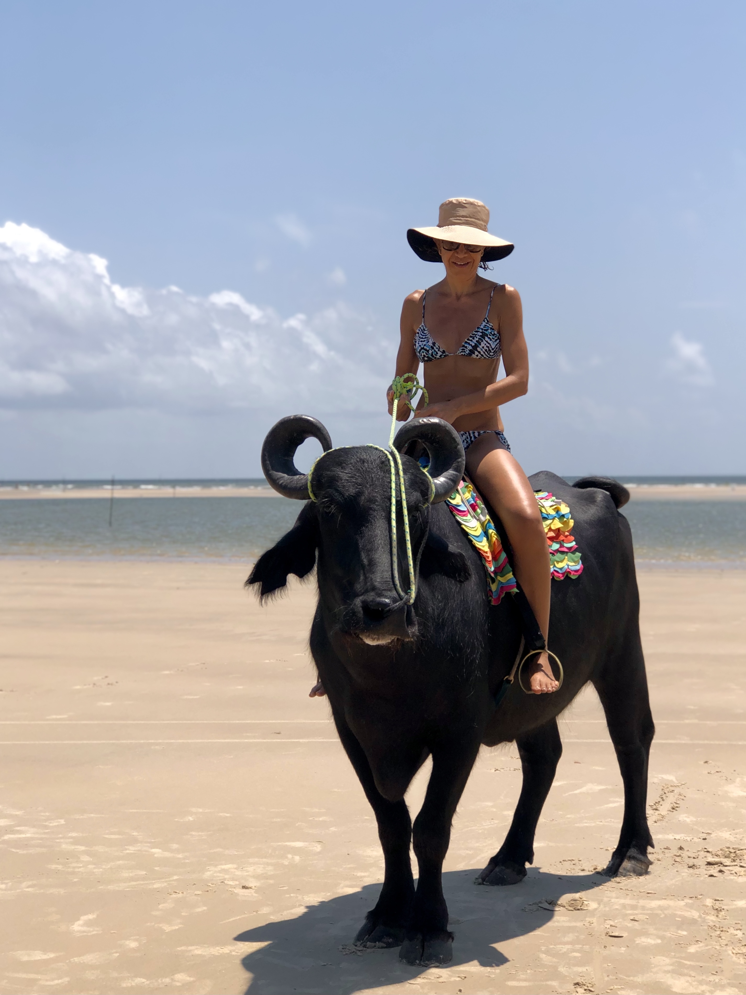 Passeio de Búfalo (Vila do Pesqueiro) detalhe