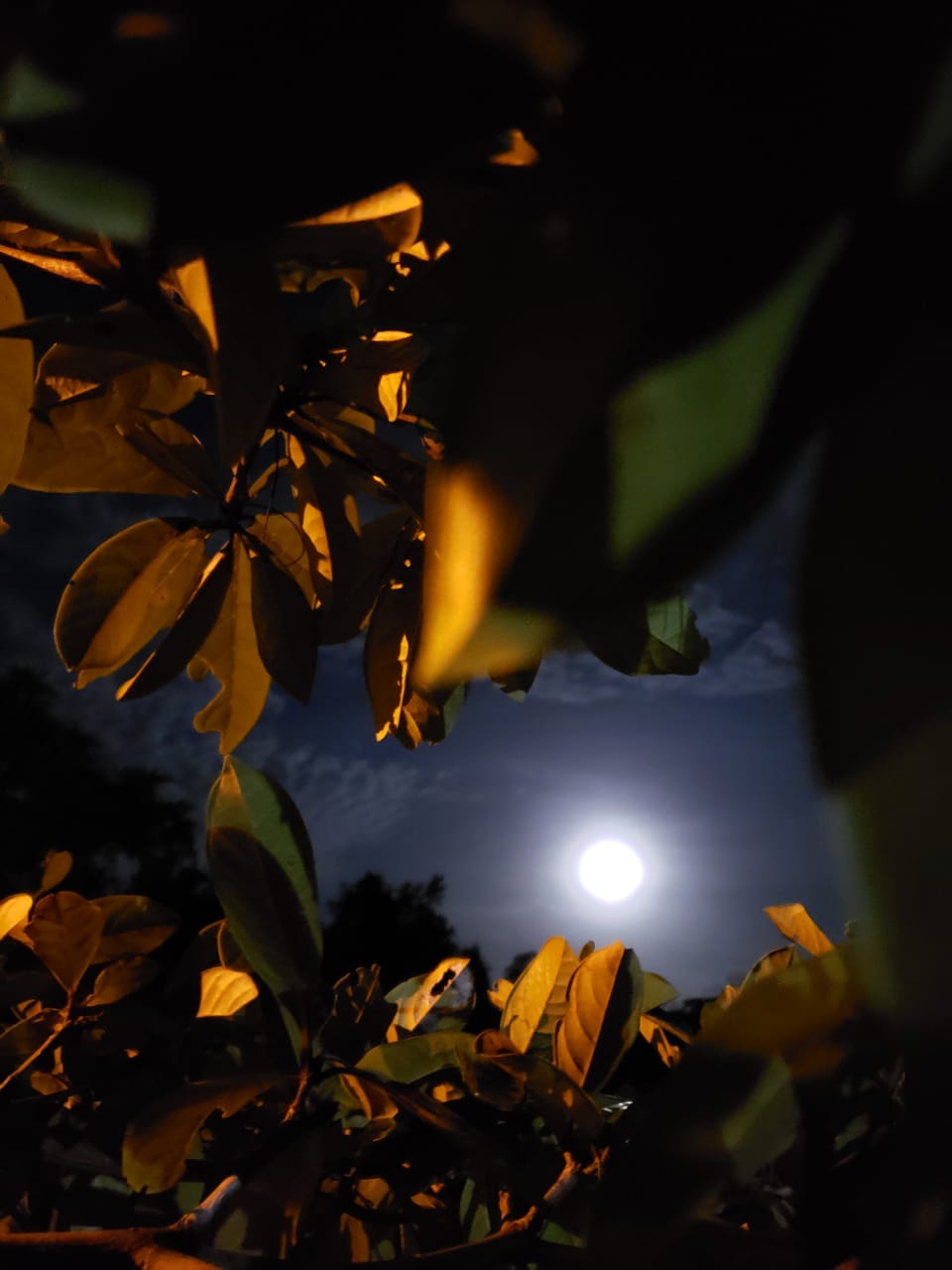Passeio da Lua Cheia (barco noturno) detalhe