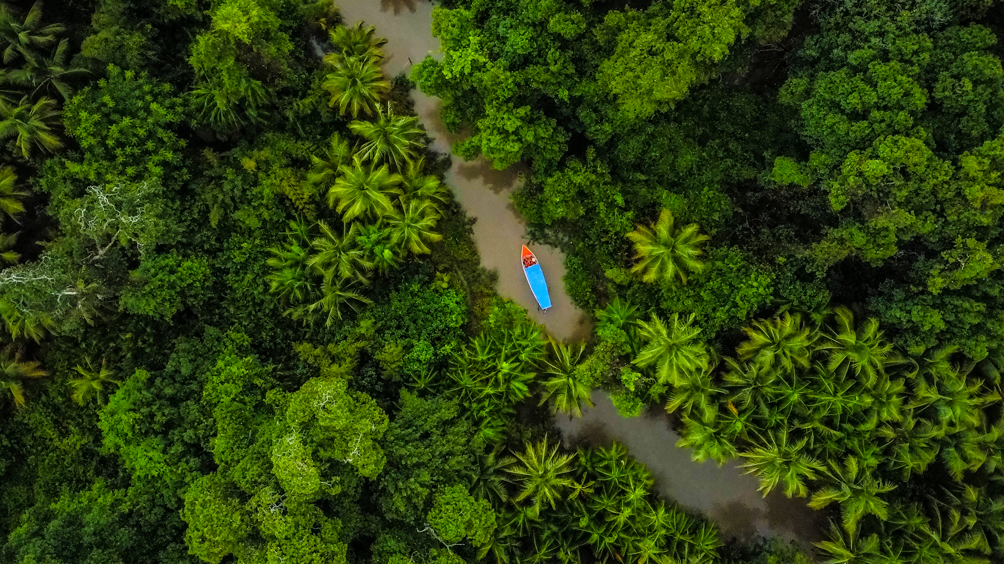 Passeio Poço Encantado (Igarapés + Praia do Céu)
